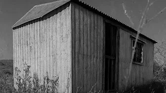 Transfor an Abandoned Cabin into a Cozy Hideaway in the Wilderness