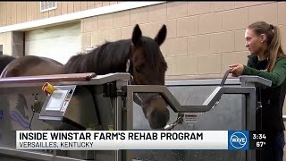 WAVE gets an exclusive look at WinStar Farm's equine rehab program screenshot 4