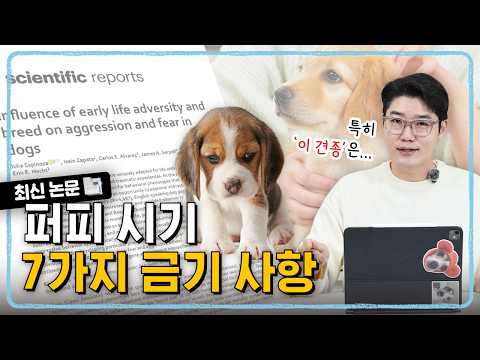 분리불안, 공격성 ‘이 것’ 때문일 수도 있어요 💥 하버드 연구 결과 ✔️ l 팩트체크 l 설채현 행동학 수의사