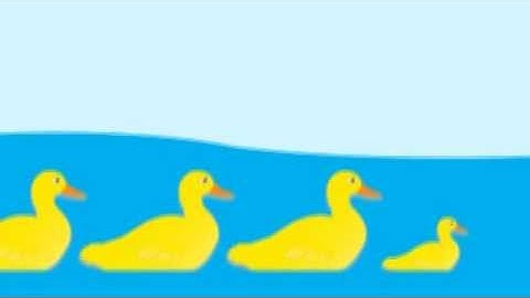 Get Your Ducks in a Row