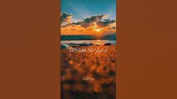 وَاللَّهُ يُرِيدُ أَن يَتُوبَ عَلَيْكُمْ || سورة النساء || علي جابر