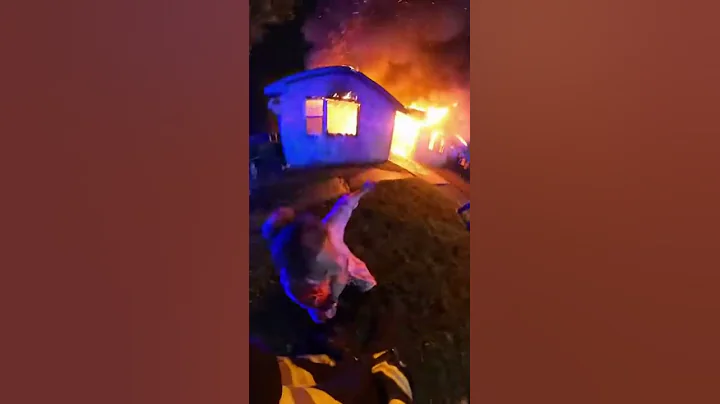 Firefighter Bodycam: Saving a German Shepherd Trapped in a Blazing House | Emotional Reunion