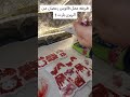 طريقه عمل فانوس رمضان من الريزن 