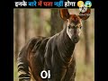 इनके बारे में आपको पता नहीं होगा 😱😮 #shorts #viral #new
