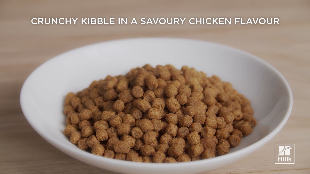 hill's urinary health sterilised cat