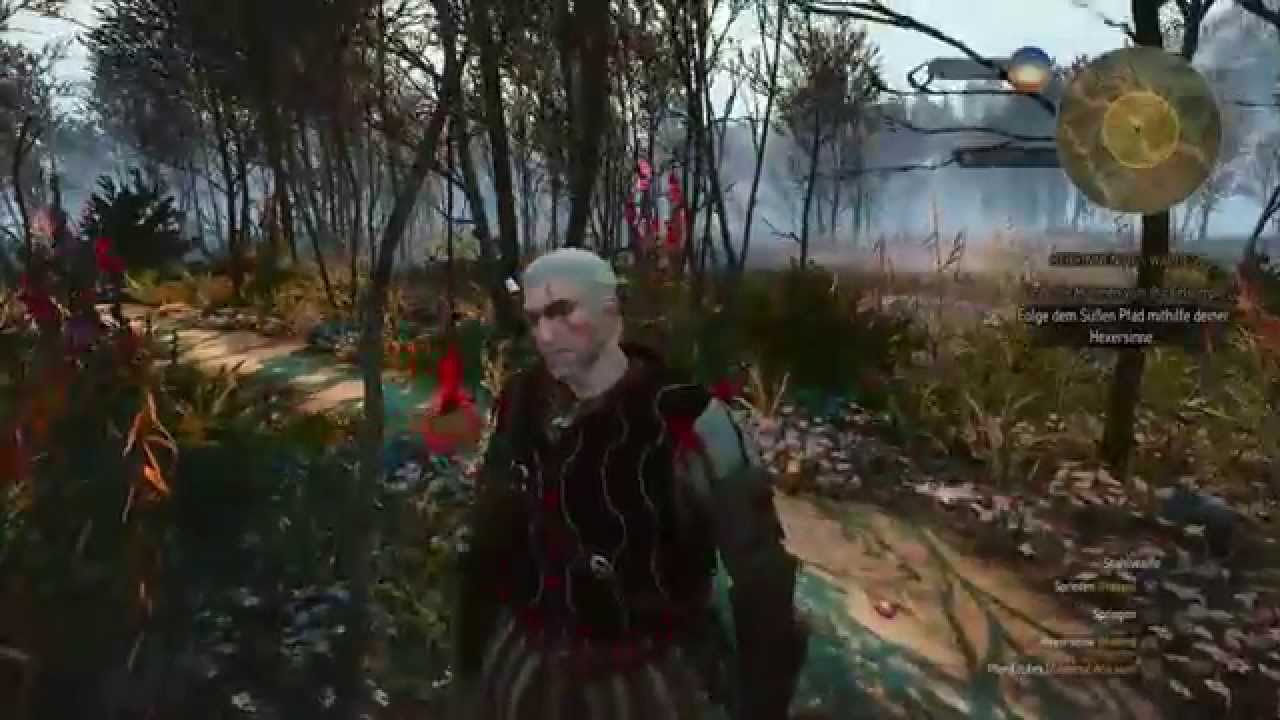 The Witcher 3 Die Herrinnen Des Waldes The Witcher 3: Herrinnen des Waldes 2 - #7 - YouTube