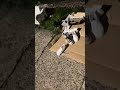 USA Uber Eats Driver Caught Something Entering His Car Near a Cemetery 😱👻 | Real Dashcam Footage