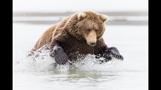 Alaska Photography Tour