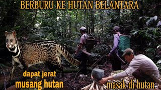 BERBURU KEHUTAN BELANTARA MENGGUNAKAN JERAT DAPAT HEWAN MUSANG HUTAN,  MASAK DAN  MAKAN DI HUTAN