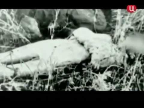 Тайны криминалистики. Противостояние Тайны криминалистики. Противостояние