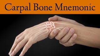 Carpal Bone Anatomy Mnemonic [Hand Anatomy Made Easy]