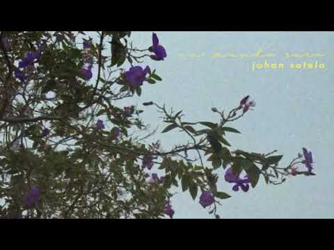 Johan Sotelo - Un Mundo Raro (Lyric Video)