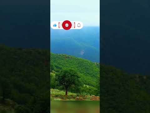 سلام صبح قشنگ شما بخیر وشادی. صباح الخیر. Good Morning #explore #funny #explorepage #duet by Ali Khazali