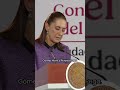 ¿Se libraron? Interpol retira ficha roja de Inés Gómez Mont y Álvarez Puga