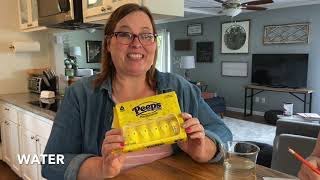 Peeps Science Experiment #1