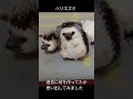 ふりかえり