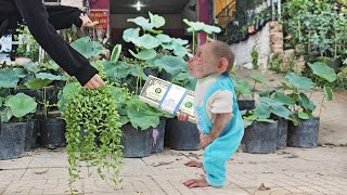 So funny smart Monkey Su secretly hides from Ku follow mom buy ornamental plants