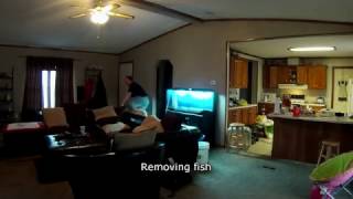 2016-12-31 New 75 Gallon Aquarium Setup