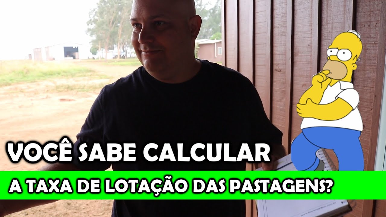 VOCÊ SABE CALCULAR A TAXA DE LOTAÇÃO? | PROF MARCELO COSTA