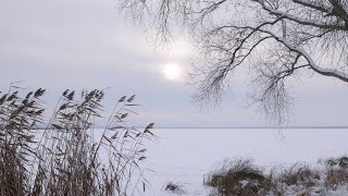 Sounds of nature in winter. The sound of the wind on a frozen lake for relaxation and sleep