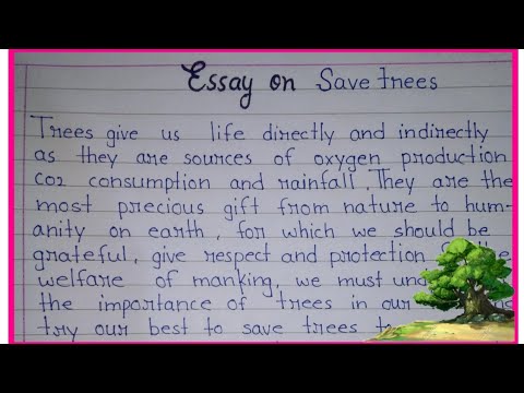 expository essay on how to plant a tree