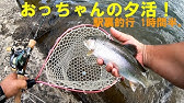 おっちゃんの朝活 新しいロッド買いました フェンウィック Links 510y Clj グラスロッド 旭川ルアーフィッシング Youtube