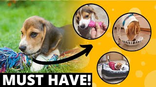 9 MUST Have Accessories for a  Beagle Puppy