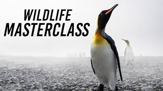 Information Wildlife Masterclass News