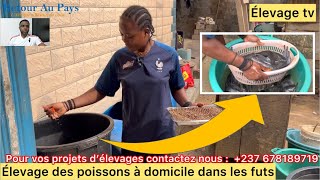 élevage de poisson | elle se lance avec moins de 50.000 frs dans la pisciculture à domicile