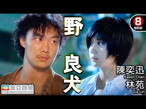 陳奕迅 Eason Chan 電影｜野良犬(The Pye-Dog)｜陳奕迅｜林苑｜文俊輝｜曾志偉｜林子祥｜粵語中字｜香港電影｜8號電影院 HK Movie｜美亞