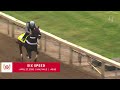 Six Speed Works Half Mile in Preparation for the Kentucky Derby