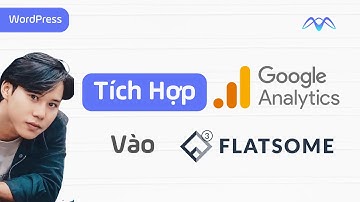 Cài Google Analytics vào WordPress. Trường Hợp Sử Dụng Theme Flatsome