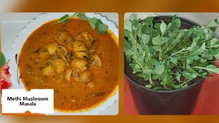 METHI MUSHROOM RECIPE INDIAN STYLE | METHI AT HOME GROW | FENUGREEK LEAVES RECIPE | MUSHROOM RECIPES
