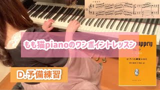 【もも猫pianoのワンポイントレッスン】ピアノの練習ABCより『D』