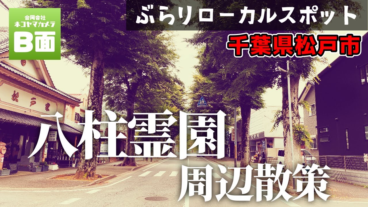 【松戸散歩】八柱霊園周辺を歩く！終点は北総線「松飛台駅」