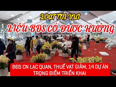 LOẠT TIN VUI ĐẦU XUÂN LIỆU BẤT ĐỘNG SẢN CÓ ĐƯỢC HƯỞNG LỢI LỚN 2022