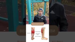 ТРЕНИРОВКА НА УЛИЦЕ🔥2 способа растяжки мышц ног #жаншоломицкий