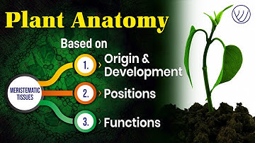 Plant Anatomy Meristematic Tissues | Plant Anatomy in Hindi For CSIR NET, GATE & SET Exams