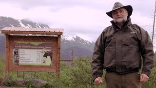 Alaska Wildlife Conservation Center with Buddy Davis