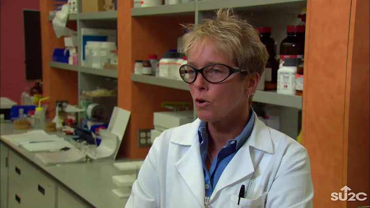 Dr. Laura Shawver: A Unique Perspective