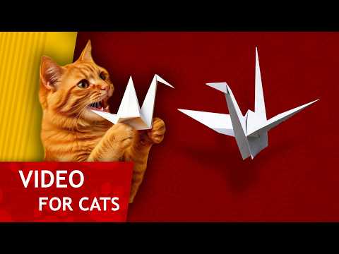 Cat Games - Catching Paper Crane (video for Cats to watch)