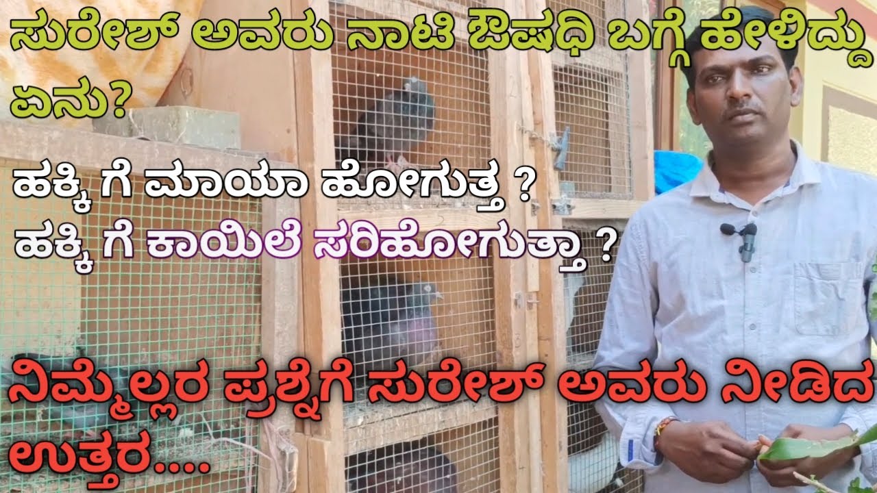 What did Suresh say about Naati medicine? | @tumblerpigeonsbangalore | #beast | #pegion