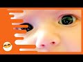 Cutest Babies of the Day! [20 Minutes] PT 15 | Funny Awesome Video | Nette Baby Momente