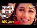 Phool Mangu Na Bahar Mangu 4K Video फ ल म ग न बह र म ग Raja Movie 1995 Romantic Song