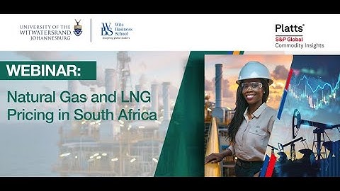 NATURAL GAS AND LNG PRICING IN SOUTH AFRICA