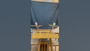 Balloon Duel Machine | Fun DIY Balloon Battle Game! 🔧🎈