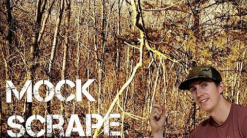 Mock Scrape/Licking Vine