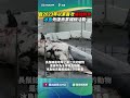 自2023年以來首次捕殺鯨魚　冰島恢復商業捕鯨活動｜👉小編推新聞 20260624 #shorts