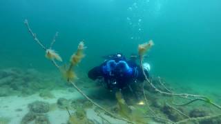 Orłowskie łąki wiosną