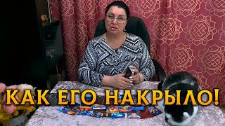 ОГО, КАК ЕГО НАКРЫЛО! ЧЕСТНО-ЧЕСТНО О ТЕБЕ САМОМУ СЕБЕ?